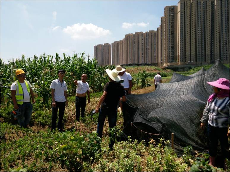 建設(shè)項(xiàng)目征地測量